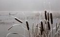 Paysages_594