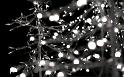Paysages_600