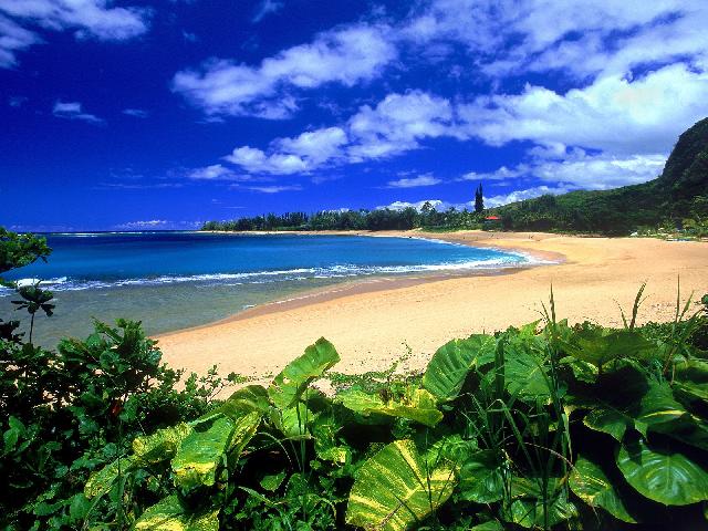 Plages_14.jpg